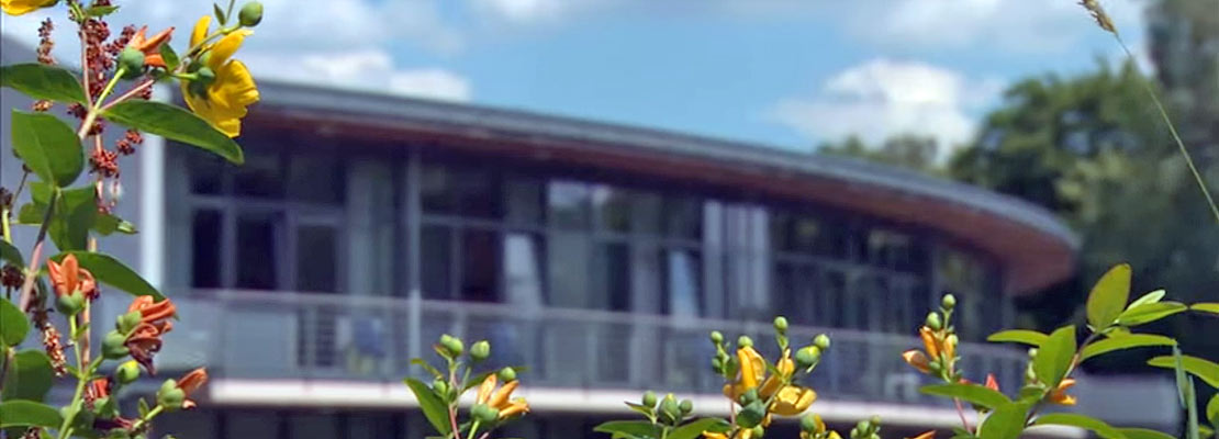 Klinik für Naturheilkunde und Integrative Medizin