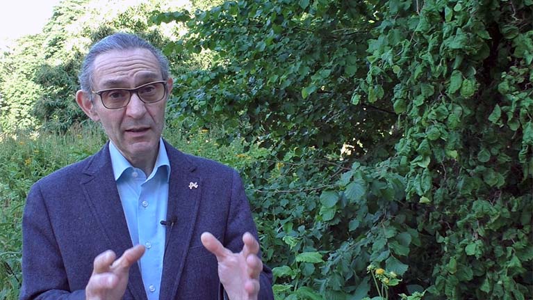 Video Thumbnail Image