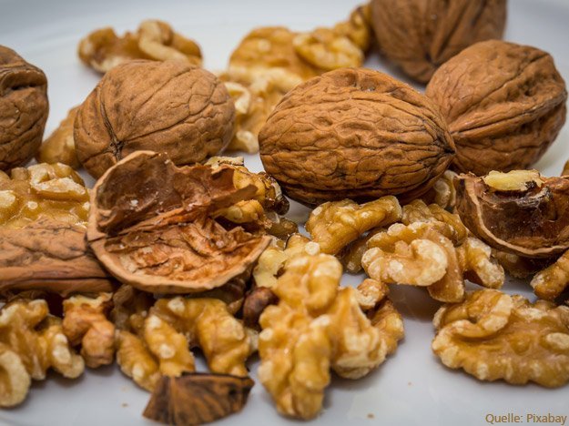 Wirklich stressresistent durch Walnüsse? Wirklich stressresistent durch Walnüsse?