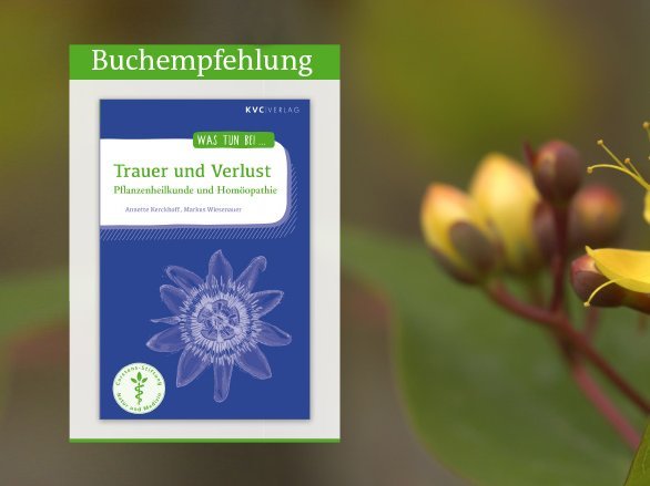 Trauer und Verlust