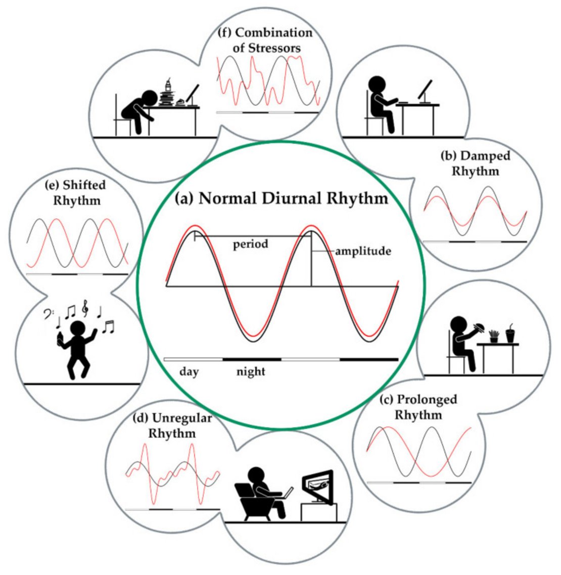 Störungen des Zirkadianen Rhythmus Störungen des Zirkadianen Rhythmus