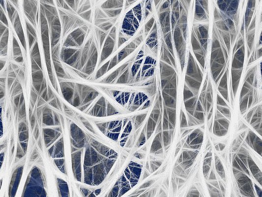 Grüne Pflanze für graue Zellen Grüne Pflanze für graue Zellen