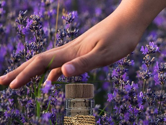 Wiederkehrende Zysten im Eierstock? Wiederkehrende Zysten im Eierstock?