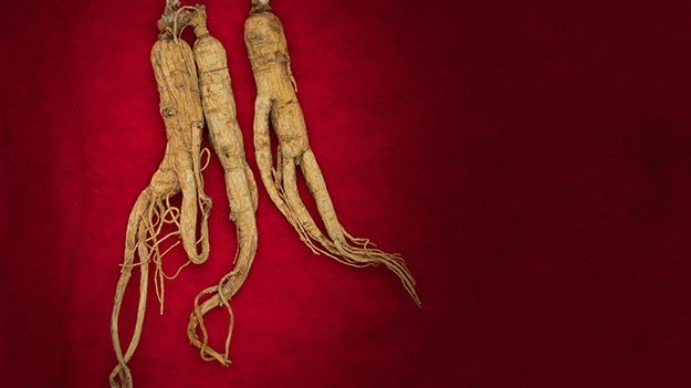 Carstens-Stiftung: Roter Ginseng stärkt das Immunsystem Carstens-Stiftung: Roter Ginseng stärkt das Immunsystem