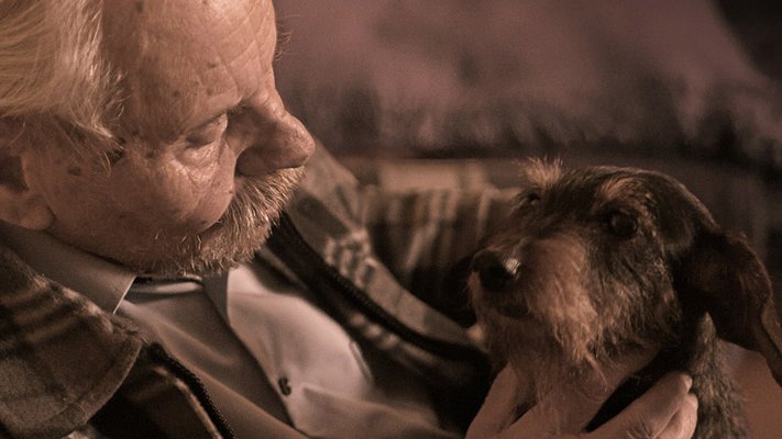 Carstens-Stiftung: Tiergestützte Therapie ist (tierisch) gut für Demenzpatienten Carstens-Stiftung: Tiergestützte Therapie ist (tierisch) gut für Demenzpatienten