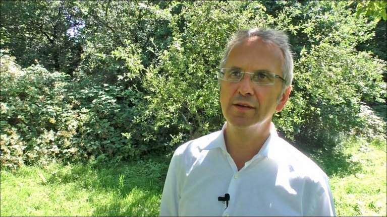 Video Thumbnail Image