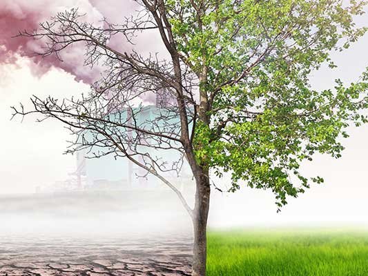 Luftverschmutzung als globale Gesundheitsgefahr