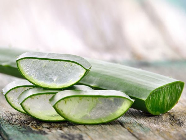 Carstens-Stiftung: Pflanzliches Gel hilft bei Mundaphten, Burning-Mouth-Syndrom und Co.