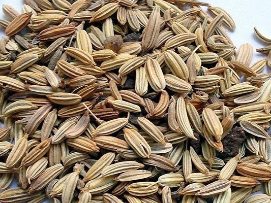 Carstens-Stiftung: Fenchelsamen helfen bei Scheidentrockenheit.