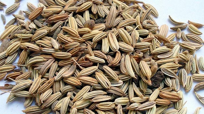 Carstens-Stiftung: Fenchelsamen helfen bei Scheidentrockenheit. Carstens-Stiftung: Fenchelsamen helfen bei Scheidentrockenheit.