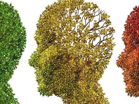 Carsten-Stiftung: Top 10 Demenz Top 10 Demenz