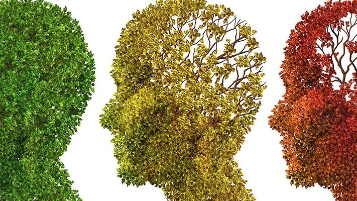 Carsten-Stiftung: Top 10 Demenz Top 10 Demenz