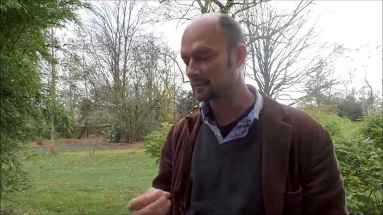 Video Thumbnail Image