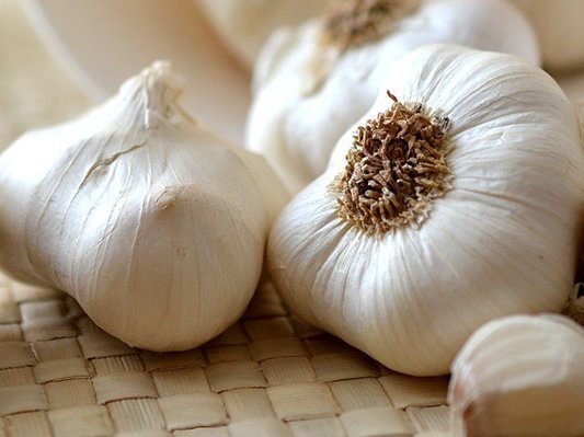 Mit Knoblauch gegen Mundpilz Mit Knoblauch gegen Mundpilz