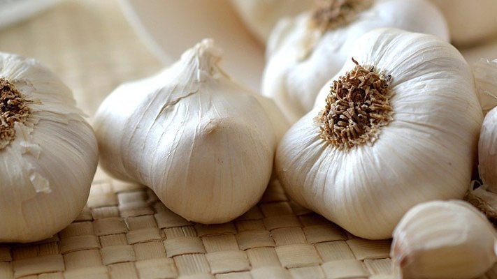 Mit Knoblauch gegen Mundpilz Mit Knoblauch gegen Mundpilz