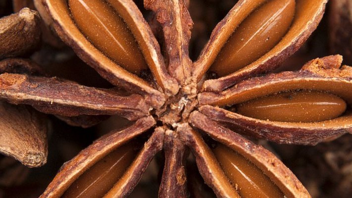 Anis als natürliches Anti-Pilzmittel Anis als natürliches Anti-Pilzmittel