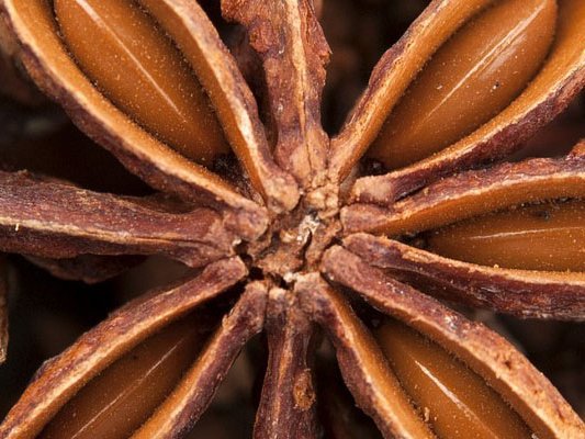 Anis als natürliches Anti-Pilzmittel Anis als natürliches Anti-Pilzmittel