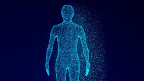 Der Holobiont: Leben als systemisches Kollektiv