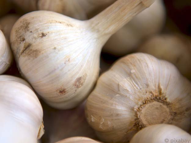 Carstens-Stiftung: Hilft Knoblauch bei Scheidenpilz? Carstens-Stiftung: Hilft Knoblauch bei Scheidenpilz?