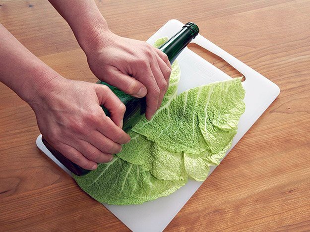 Carstens-Stiftung: Über die Wirksamkeit des Kohlwickels bei Kniegelenksarthrose.