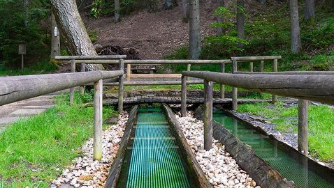 200 Jahre Kneipp: Aktuelle wissenschaftliche Erkenntnisse