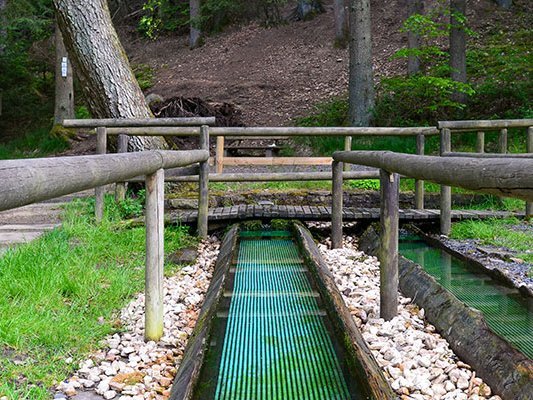 200 Jahre Kneipp: Aktuelle wissenschaftliche Erkenntnisse
