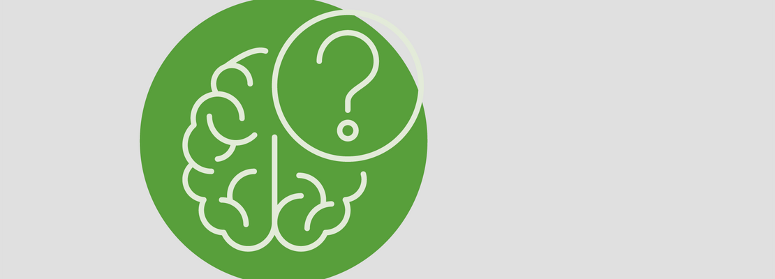 Zwischenbericht: BrainFit-Nutrition