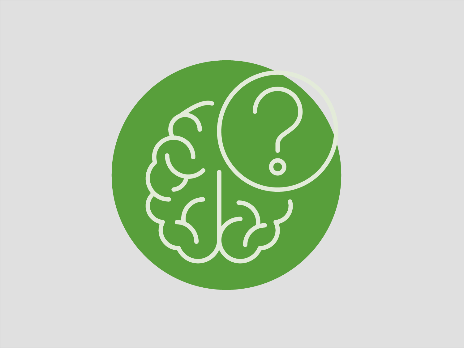 Zwischenbericht: BrainFit-Nutrition