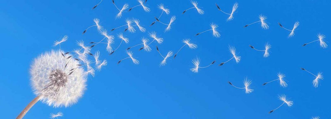 Vererben Sie Gesundheit