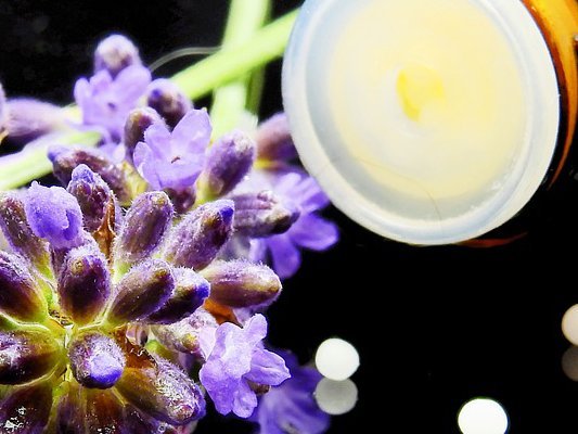 Carstens-Stiftung: Seminarangebote zu Naturheilverfahren und Homöopathie