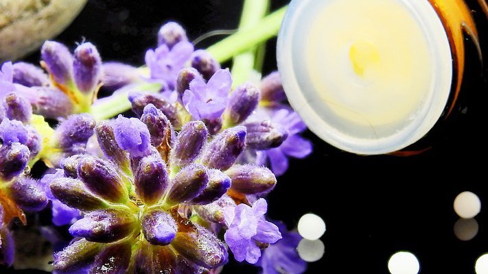 Carstens-Stiftung: Seminarangebote zu Naturheilverfahren und Homöopathie