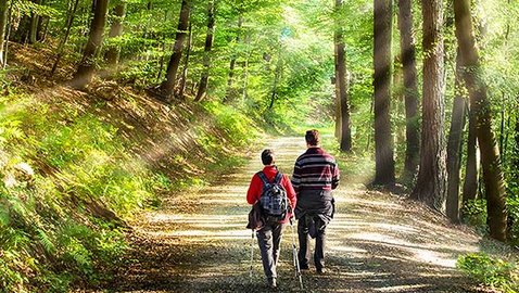 Waldbaden: Prävention und Therapie