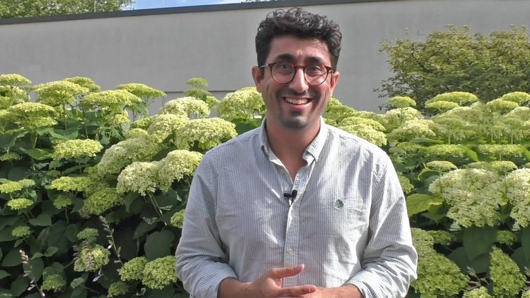 Video Thumbnail Image