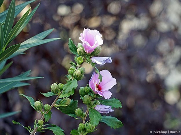 CarstensNuM [TYPO3 CMS 6.2.30].html