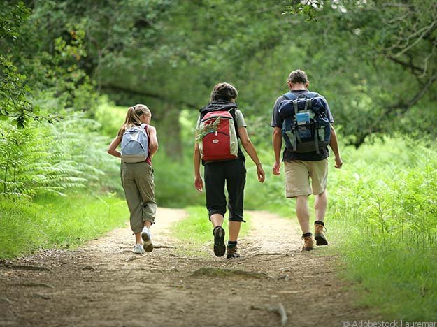 Carstens-Stiftung: Wandern ist gesund Carstens-Stiftung: Wandern ist gesund