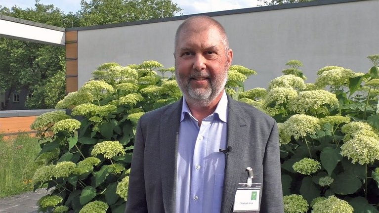 Video Thumbnail Image