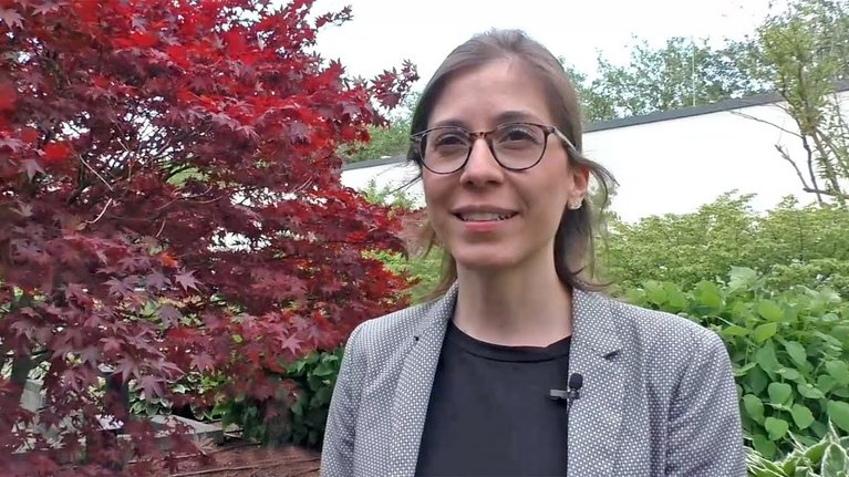 Video Thumbnail Image