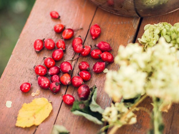 Carstens-Stiftung: Hagebutte bei Rheuma Carstens-Stiftung: Hagebutte bei Rheuma