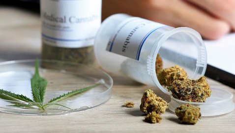 Ist Cannabis wirksam in der Behandlung von chronischen Rückenschmerzen?