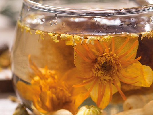 Carstens-Stiftung: Ätherische Öle bei vaginaler Candidose Carstens-Stiftung: Ätherische Öle bei vaginaler Candidose