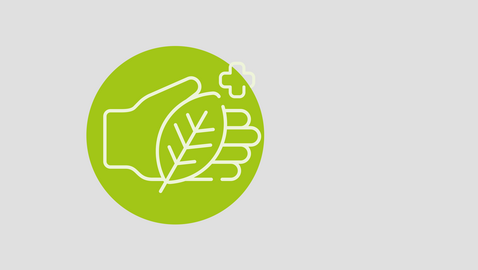 Waldbaden in der Natur und virtuell: Innovative Ansätze bei Fatigue und Depressionen