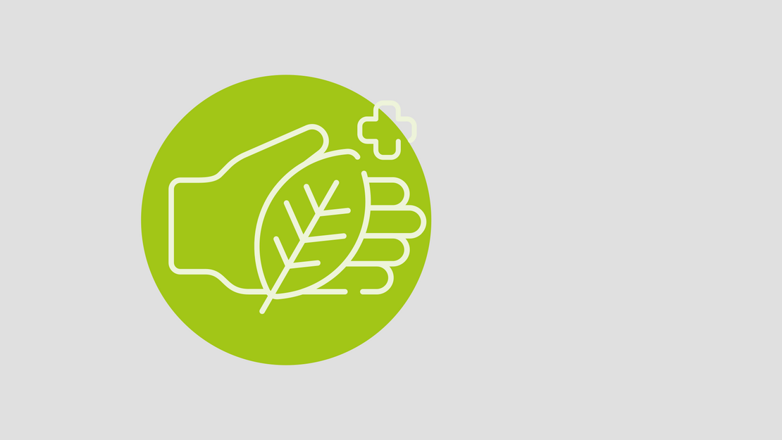 Waldbaden in der Natur und virtuell: Innovative Ansätze bei Fatigue und Depressionen