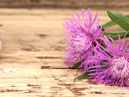 Globuli in der Krebstherapie Globuli in der Krebstherapie