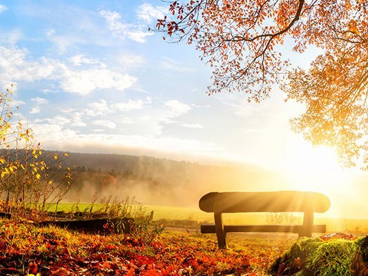 Was kann die Homöopathie bei Suchtkrankheiten?
