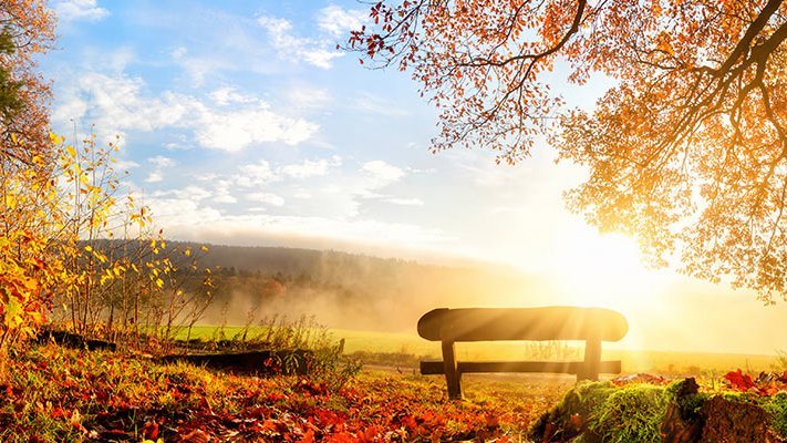 Was kann die Homöopathie bei Suchtkrankheiten? Was kann die Homöopathie bei Suchtkrankheiten?