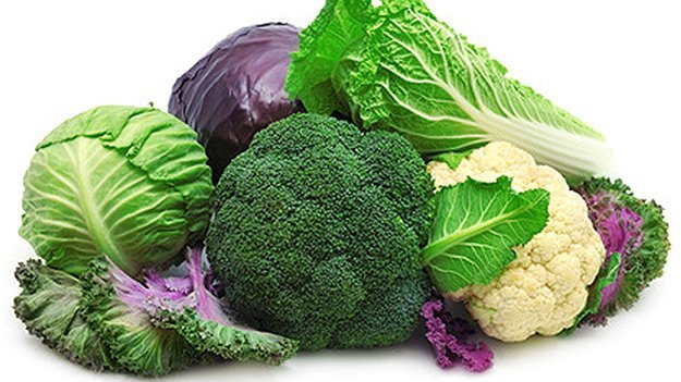 Carstens-Stiftung: Strahlenschutz durch Broccoli und Co.