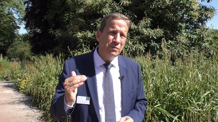 Video Thumbnail Image