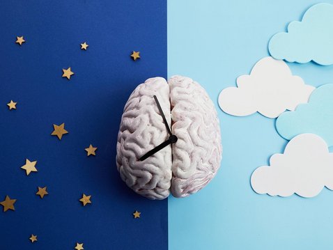 Fasten, Hormonhaushalt und Innere Uhr Fasten, Hormonhaushalt und Innere Uhr