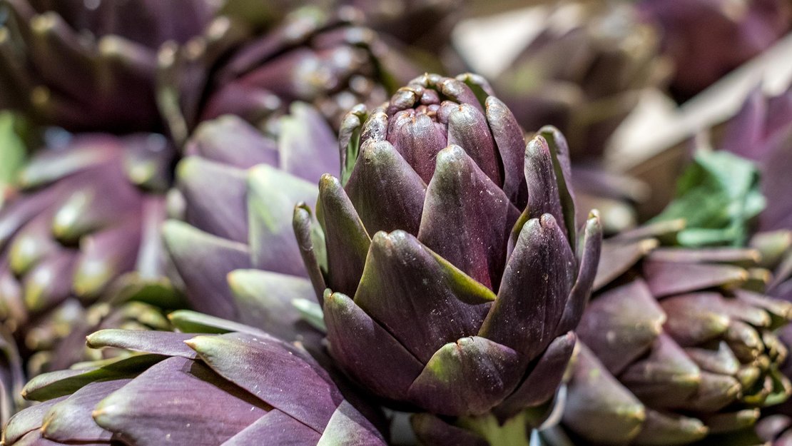 Artischockenextrakt gegen Fettleber