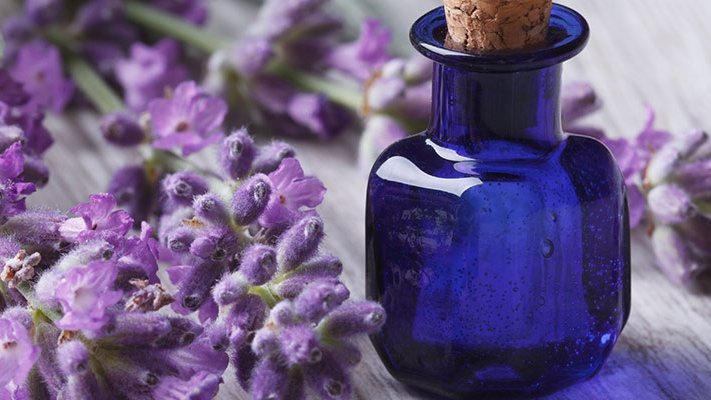 Carstens-Stiftung: Dufttherapie hilft auch bewusstlosen Palliativpatienten Carstens-Stiftung: Dufttherapie hilft auch bewusstlosen Palliativpatienten